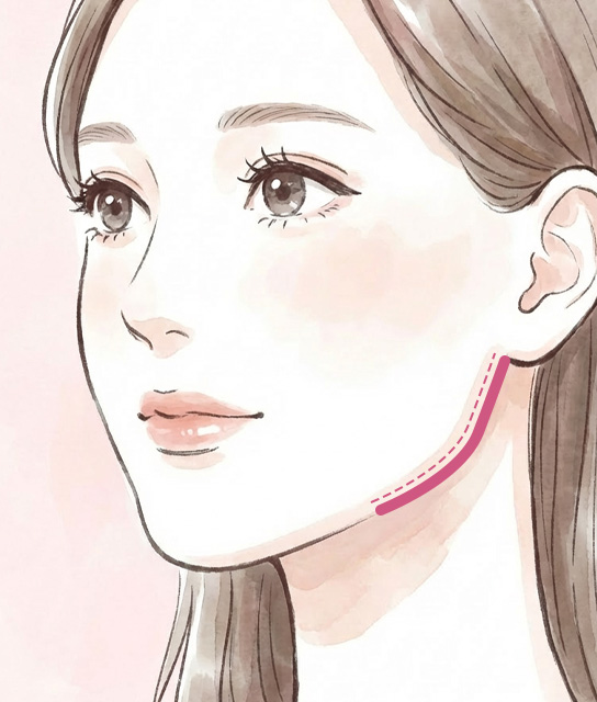 咬筋肥大とエラ張りの仕組み