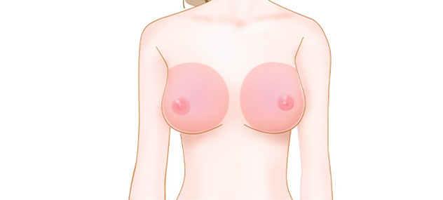 小さなバストのイメージ