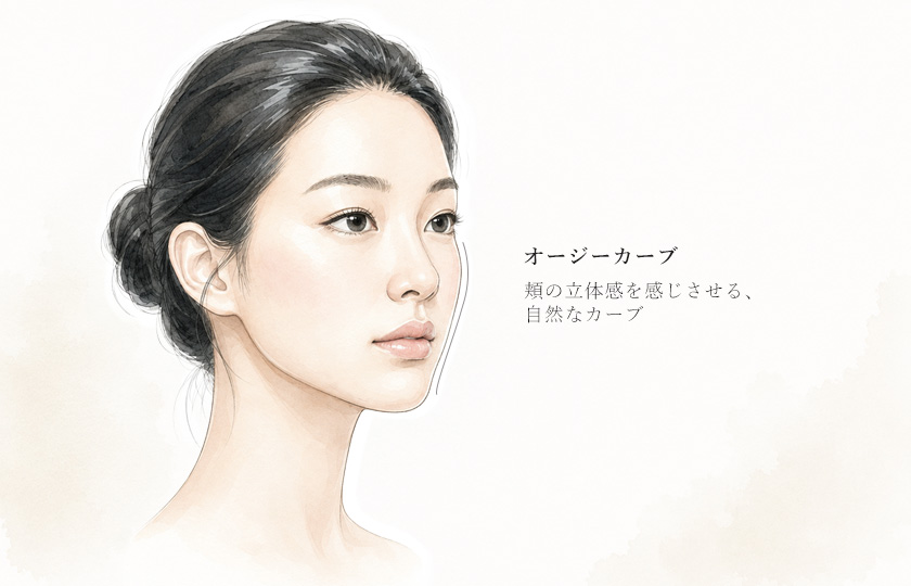 オージーカーブのイメージ
