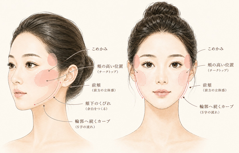 頬の高い位置、前頬、頬下のくびれ、輪郭へ続くカーブを示すCheek designのイメージ