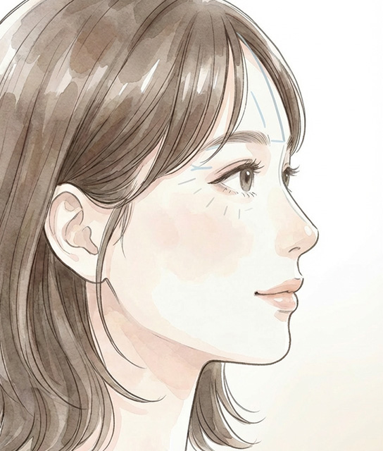 額の凹みと影の仕組みイメージ