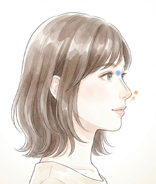 鼻根部・鼻筋のデザインポイント