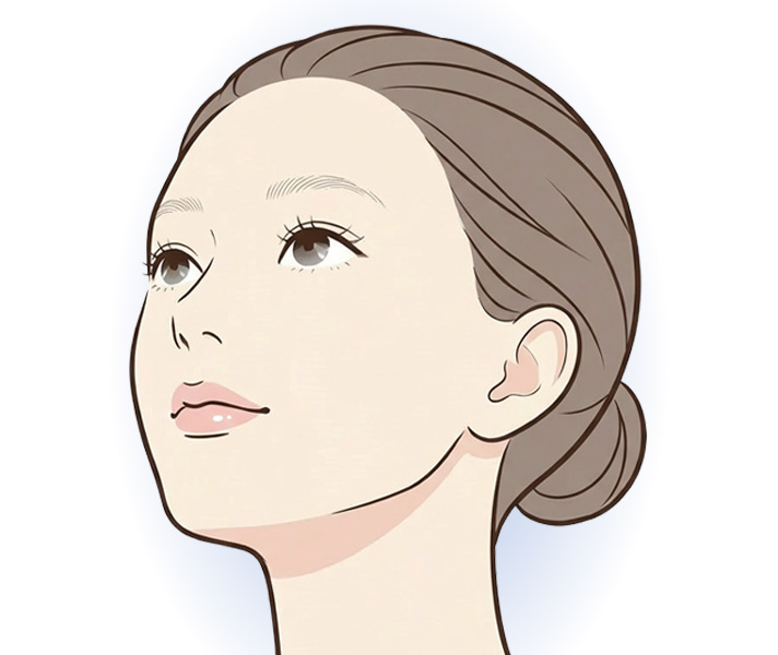 低い鼻のイメージ