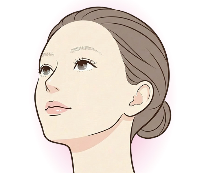 TESSリフトノーズ後の鼻のラインのイメージ