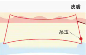 SBCコスメティークネオ