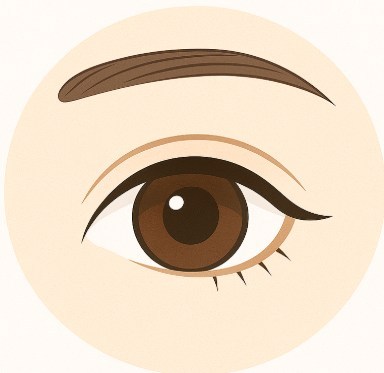 二重　ミックス型