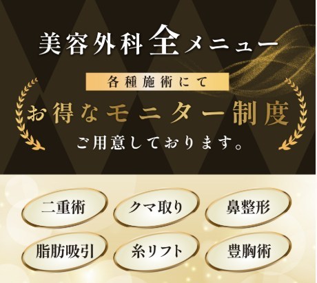ルラ美容クリニックの全メニューモニター価格用意
