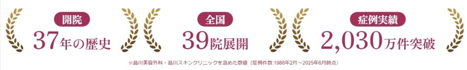 品川美容外科の実績