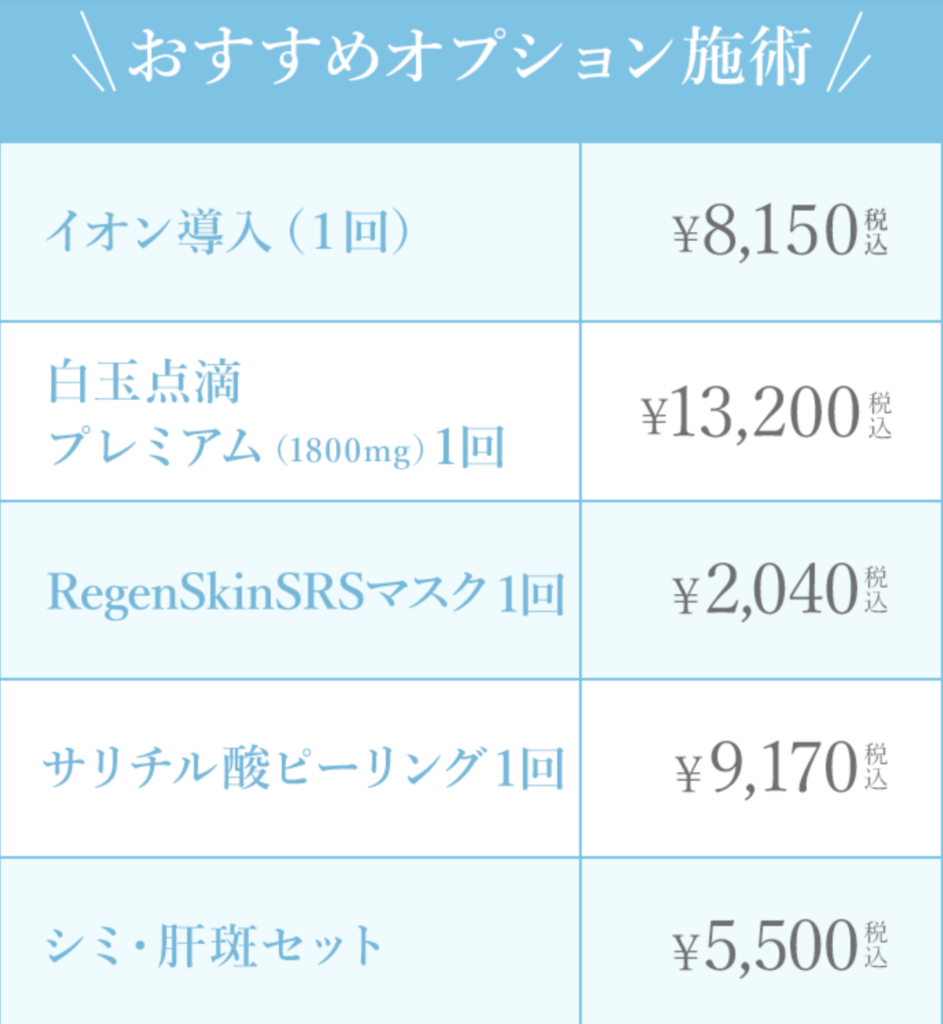 25,000円OFFクーポン利用でおすすめのオプションメニュー